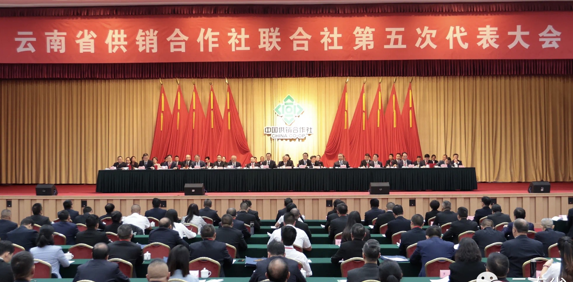 1ce3d010a7e97504c6bbb5346ae0014