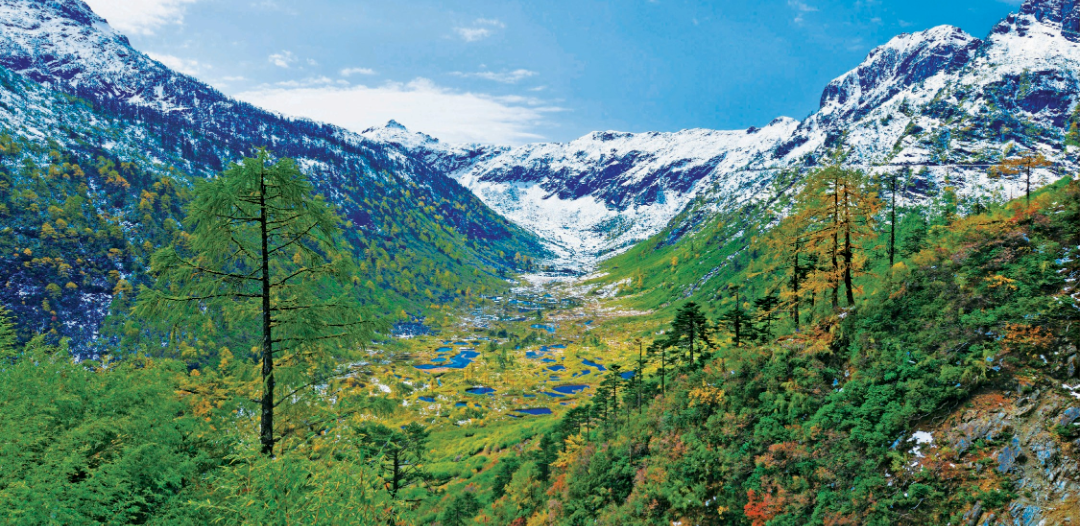 微信图片_20240418111852 微信图片_20240418111852